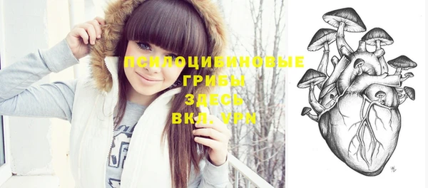 круглые Алексеевка